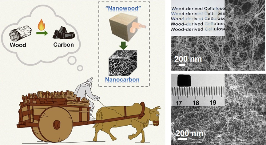 中国科大实现由木材制备超细碳纳米纤维气凝胶威客电竞(图1)