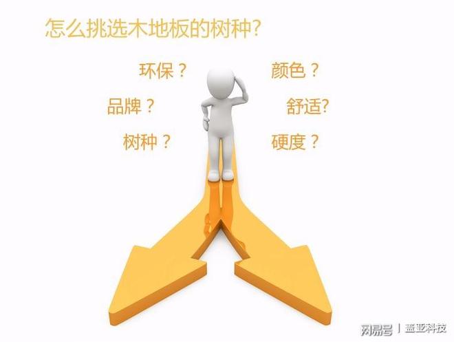 实威客电竞木地板选择哪些树种最好？(图1)