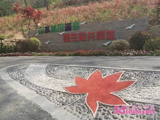 威客电竞青岛市市南区公园城市建设如火如荼(图1)