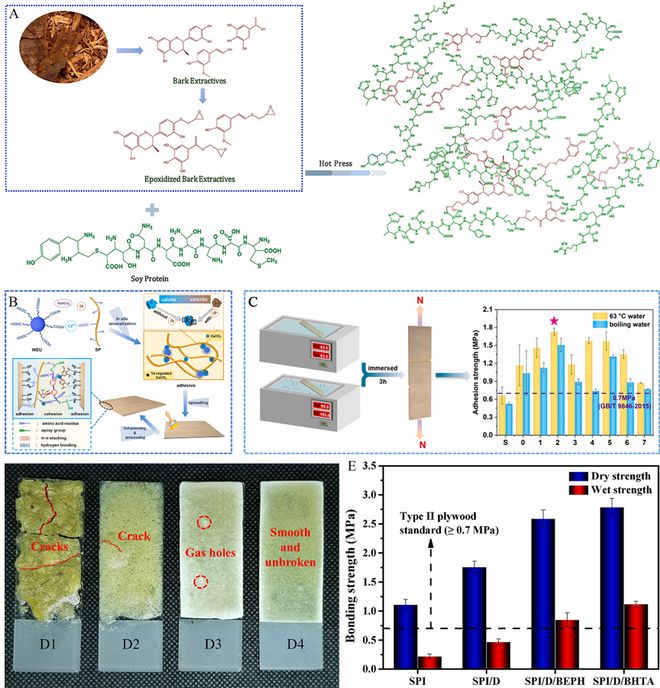 威客电竞南京林业大学蒋少华教授团队Green Chemistry：生物质在常见石油基木材胶黏剂中的最新研究进展(图5)