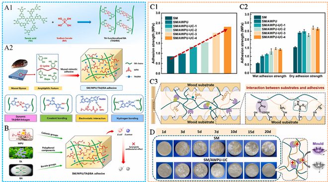 威客电竞南京林业大学蒋少华教授团队Green Chemistry：生物质在常见石油基木材胶黏剂中的最新研究进展(图6)