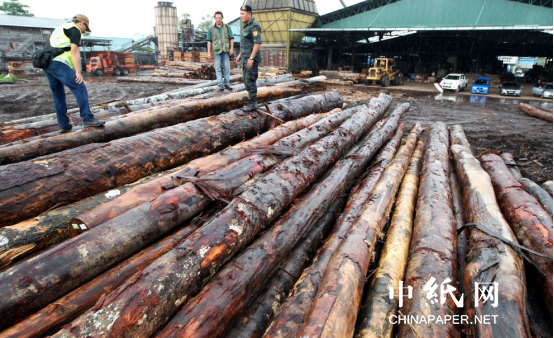 对中国出口实现三位数增长 马来威客电竞西亚木材行业为何“压力山大”？(图2)